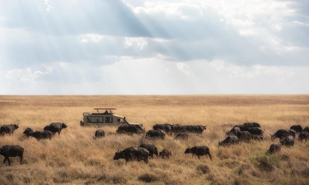 Experience the Enchantment of Tanzania: Your Ultimate Guide
